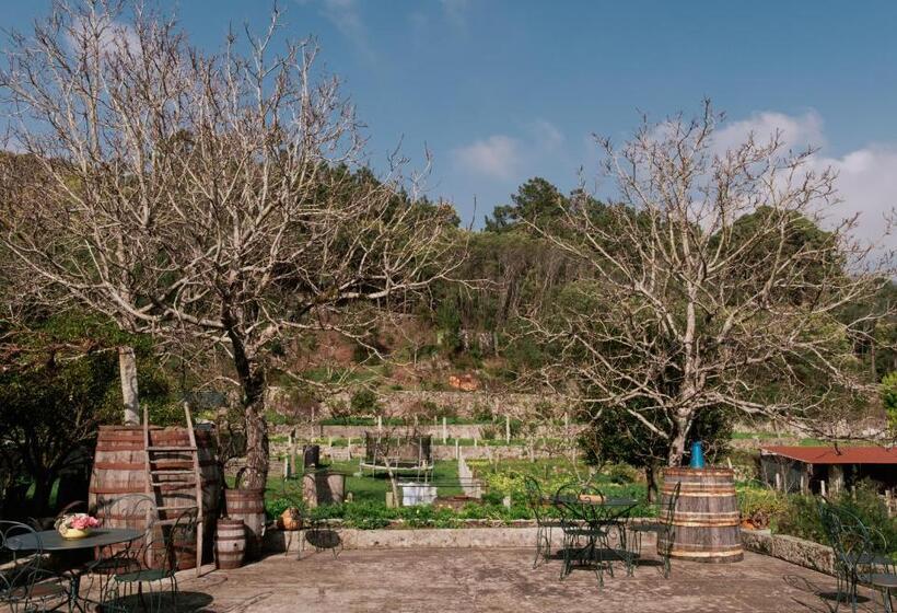 酒店 Quinta Da Quinhas