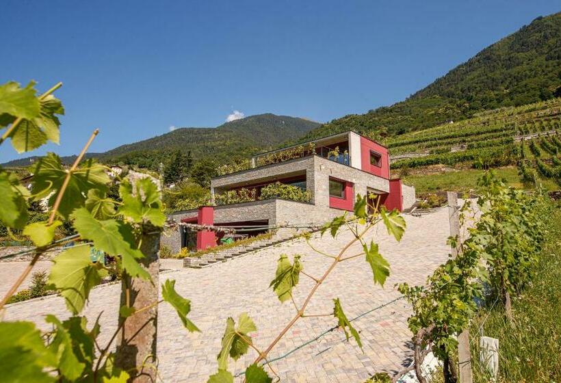 Nebbiolo Wine B&b