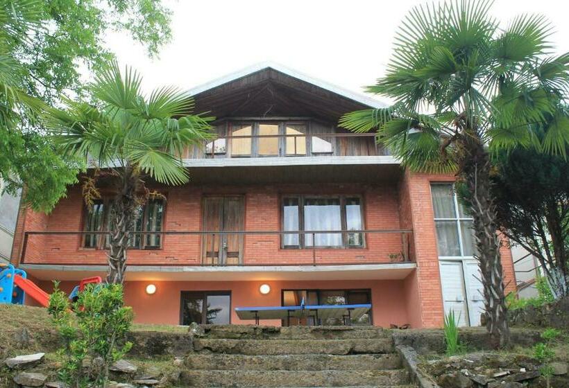 פנסיון Megohouse