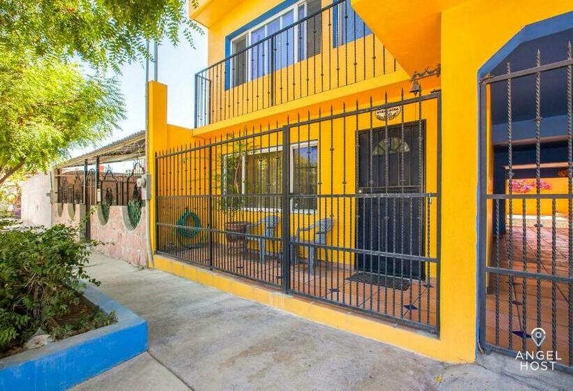 ユースホステル Cozy Stay 2 Blocks From The Beach And Malecón!