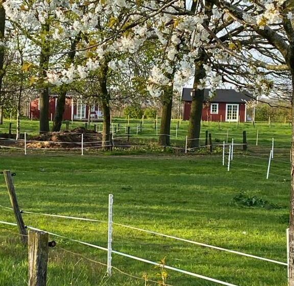 צימר De Heeren Hoeve Carpe Diem