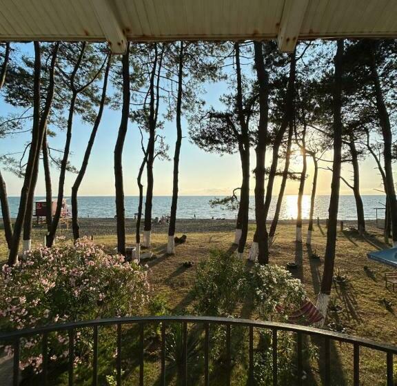 تختخواب و صبحانه Evrika Hotel Shekvetili