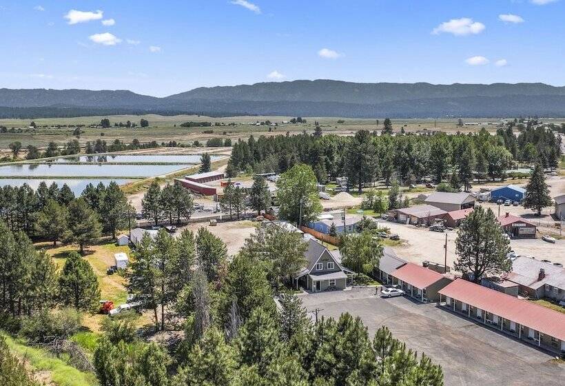 فندق Birch Glen Lodge