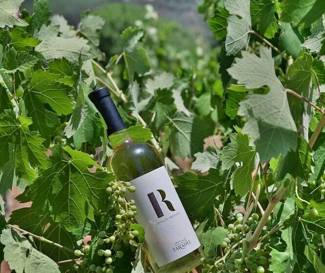 호텔 Chateau De Taradel