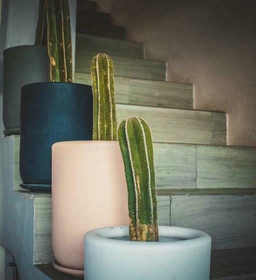 فندق Ciclovía & Terraza