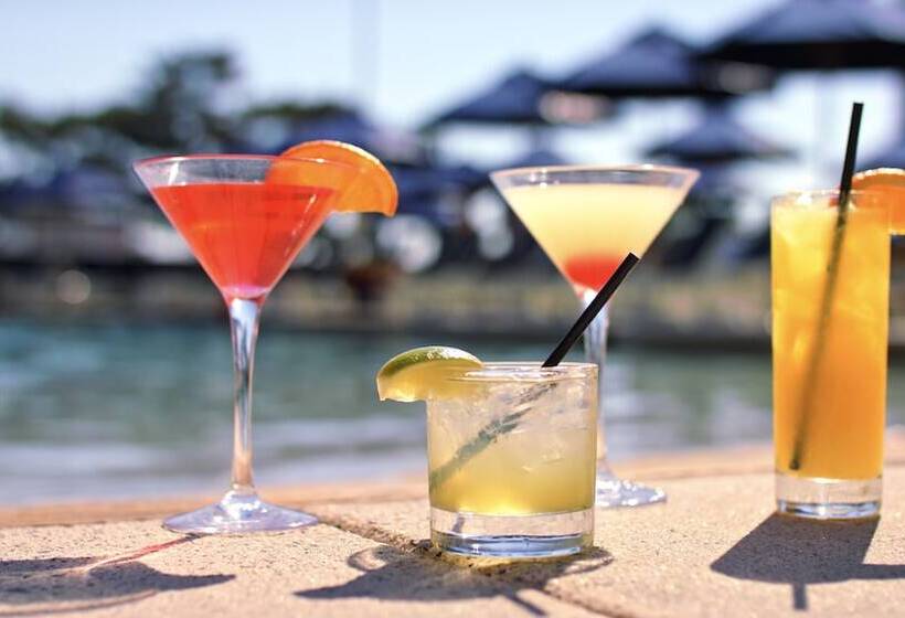 فندق Icona Windrift