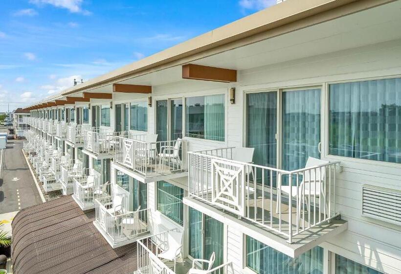 فندق Icona Windrift