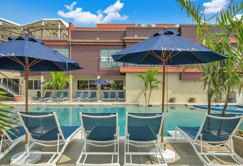 فندق Icona Windrift