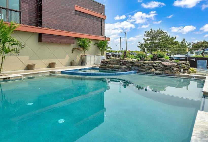 فندق Icona Windrift