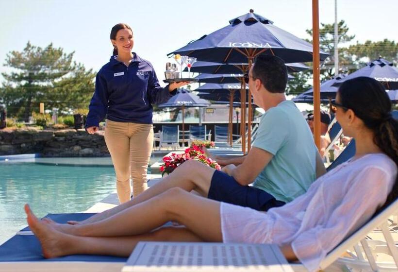 فندق Icona Windrift