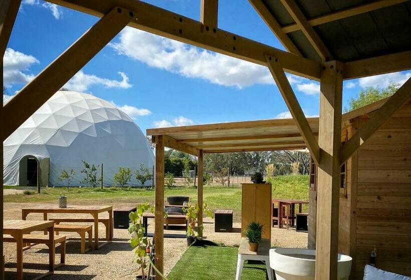 בית מלון כפרי Little Farm Of Calm