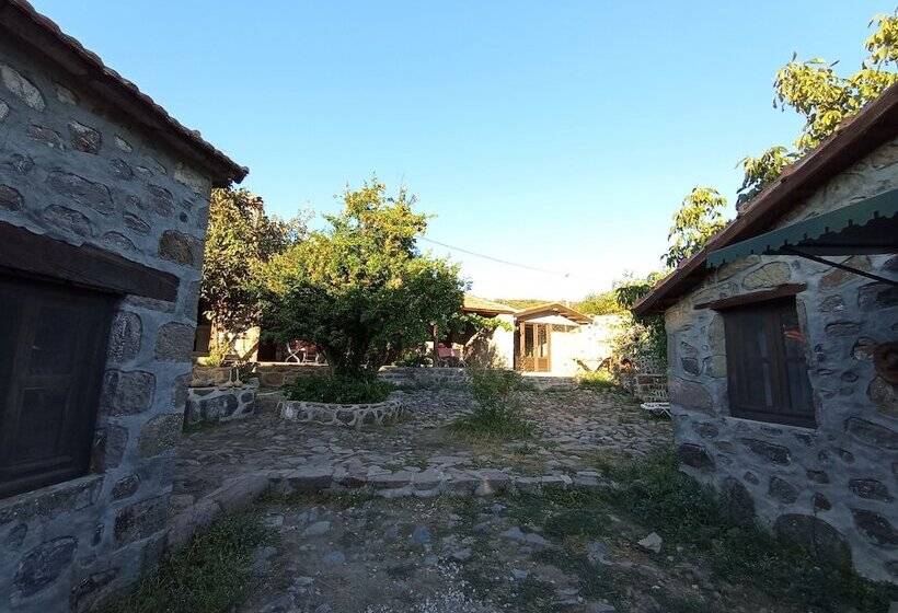 فندق Thousand Ally Boutique