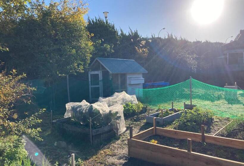 펜션 犬と泊まれる平屋dog Friendly House 黄昏