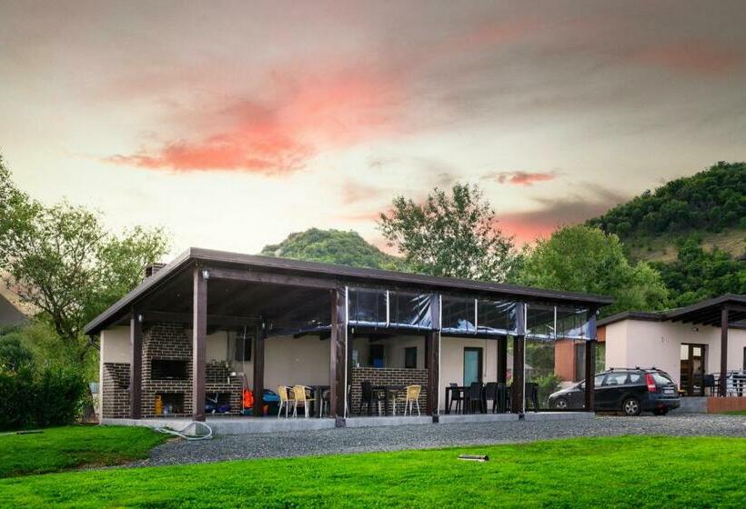 膳宿费 Fishing Trip Divici