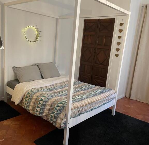 Perpignan Appartement En Plein Centre Historique