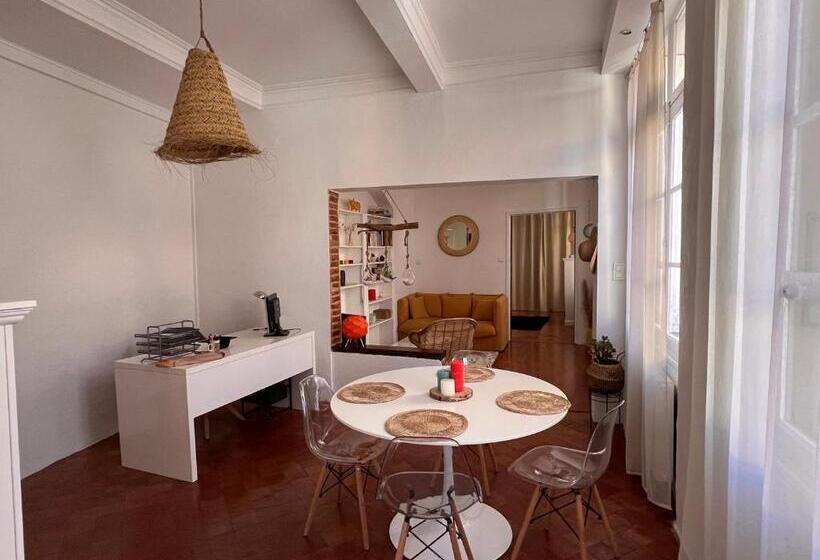 Perpignan Appartement En Plein Centre Historique
