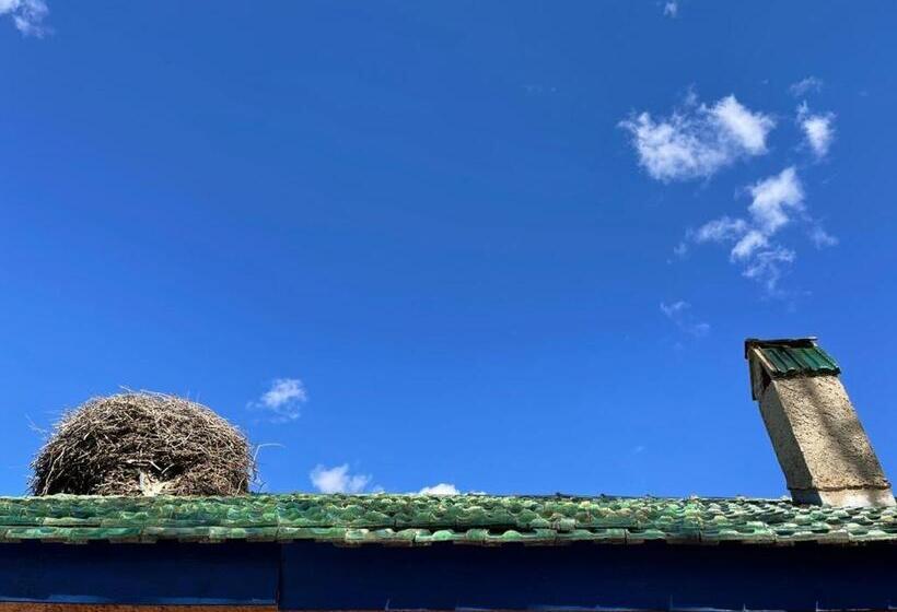 هاستل Gîte Camping Amazigh