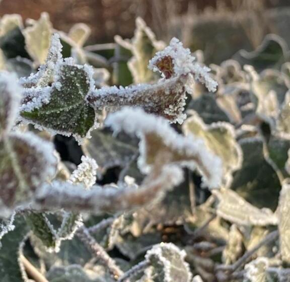 ベッドアンドブレックファースト Sleep Inn Bed&breakfast