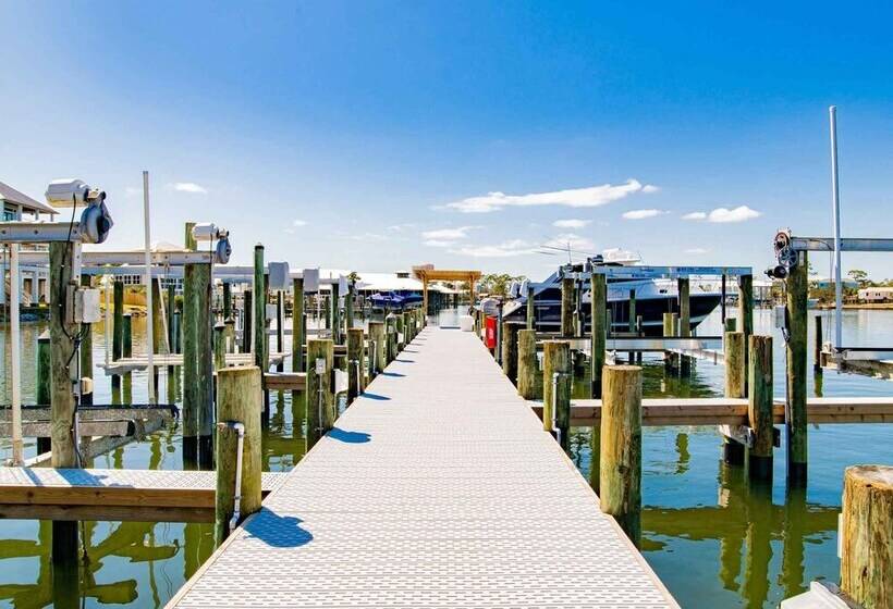 Driftwood Dreams Oba