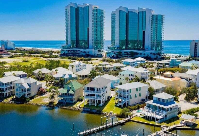 Driftwood Dreams Oba