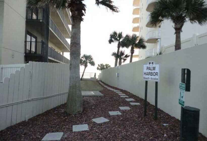 Driftwood Dreams Oba