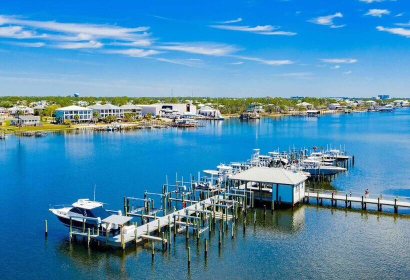 Driftwood Dreams Oba