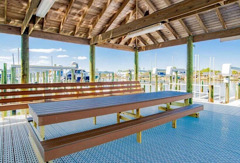 Driftwood Dreams Oba