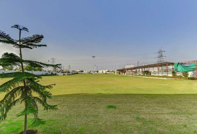 Collection O Hotel Gulmohar