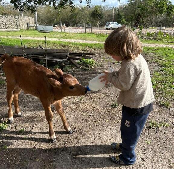 Пансион Pousada Charqueada Costa Do Abolengo