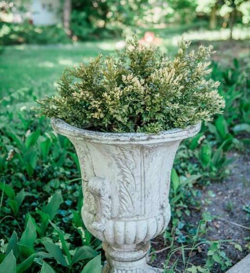 Общежитие Bridgewalk Estate A Wanderlust Abodes Property