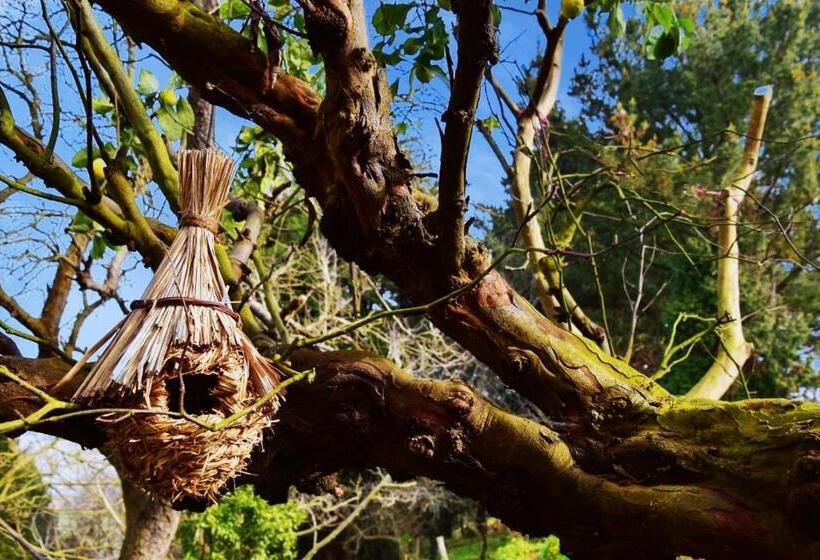 민박 Casa Rural Casa Selmo