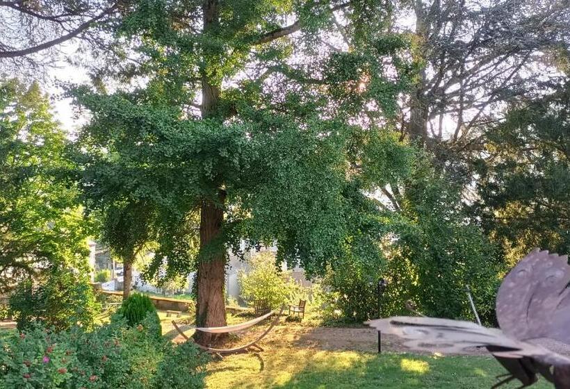 민박 Château D Arfeuilles Chambres Et Tables D Hôtes