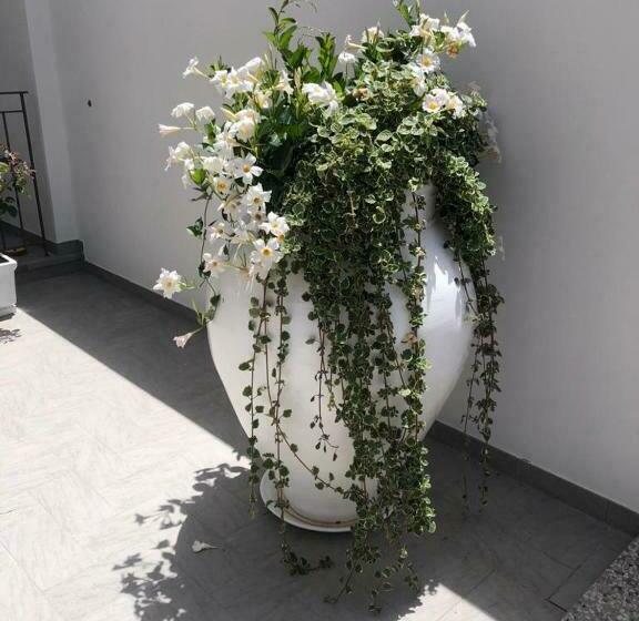 住宿加早餐  Il Fiore Bianco