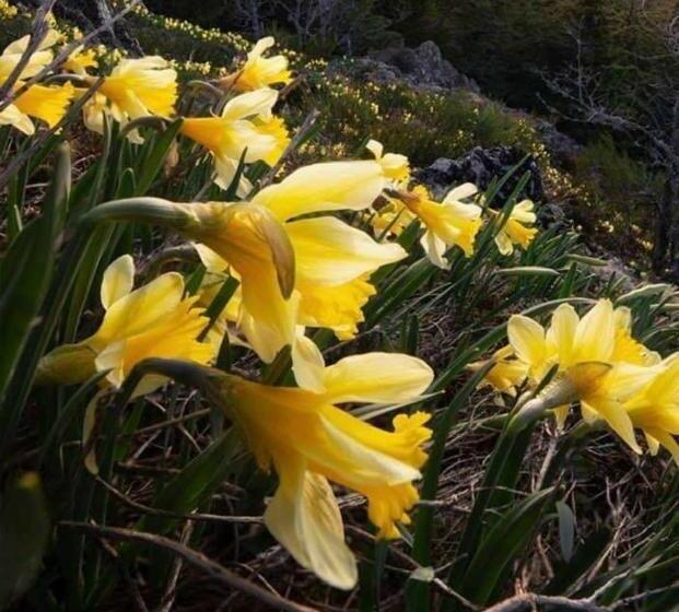 צימר La Table D Elodie