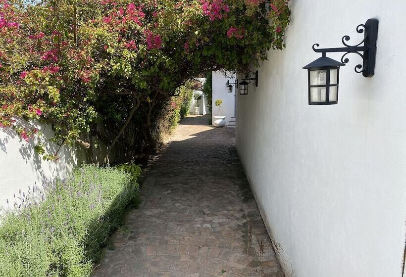 تختخواب و صبحانه Mirabelle Guesthouse