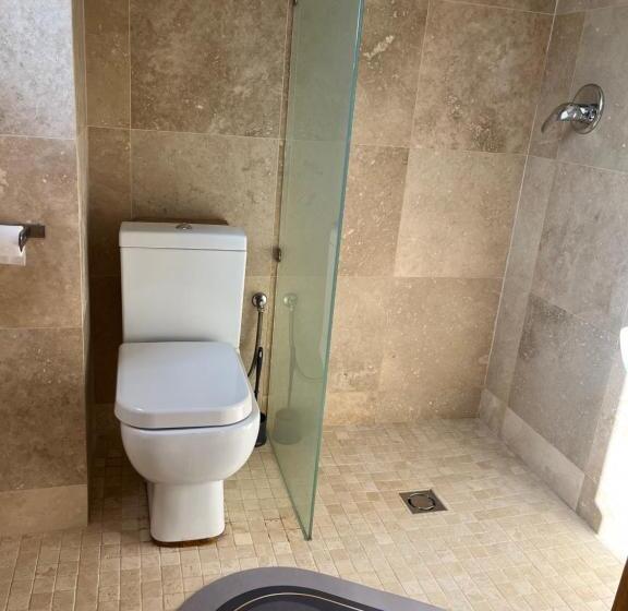 Отель Casa Andreea