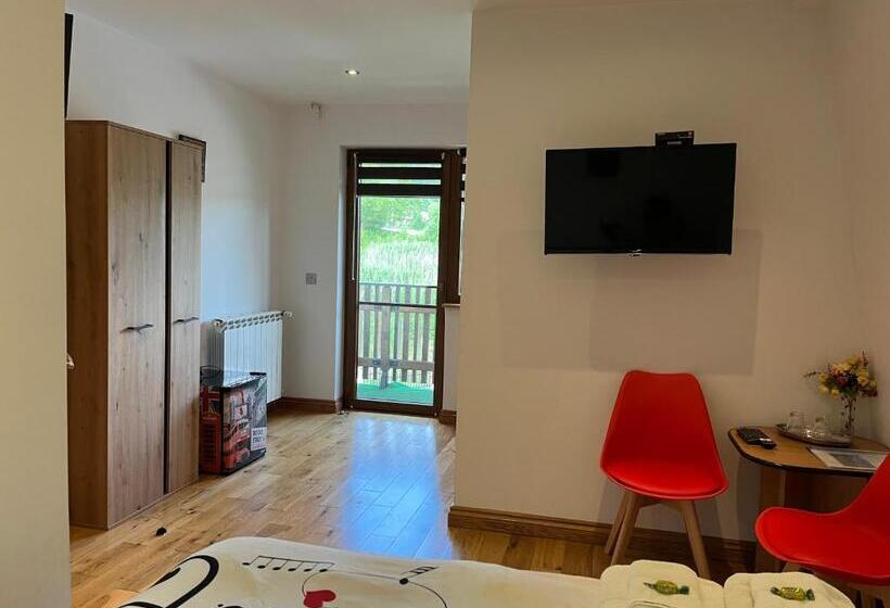 Отель Casa Andreea