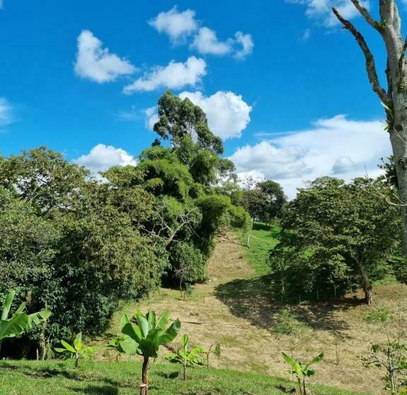 בית מלון כפרי Mocana Bio