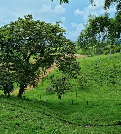 בית מלון כפרי Mocana Bio