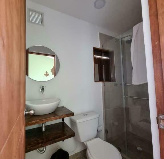 Отель Mocana Bio