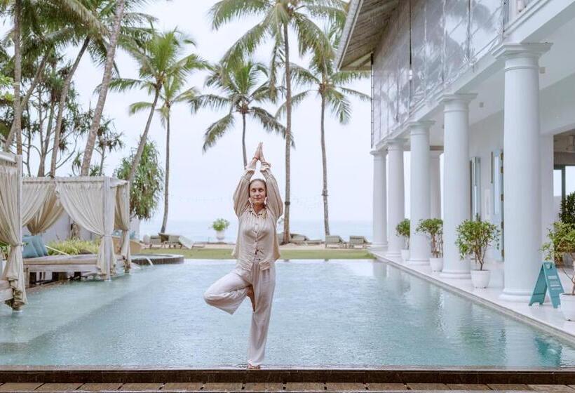 Отель Villa Selenya