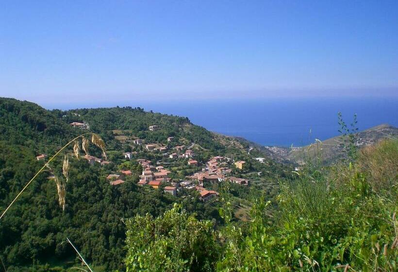 ホテル Agriturismo Scialà