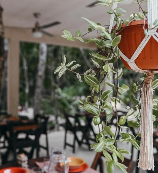 호텔 Lunita Jungle