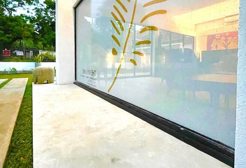 فندق The Ivy Lake