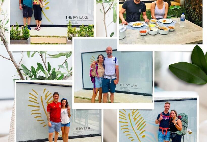 فندق The Ivy Lake