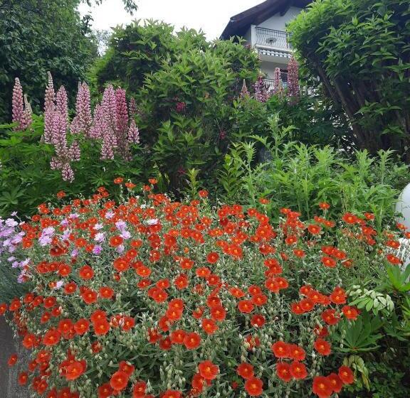 Пансион Haus Franz