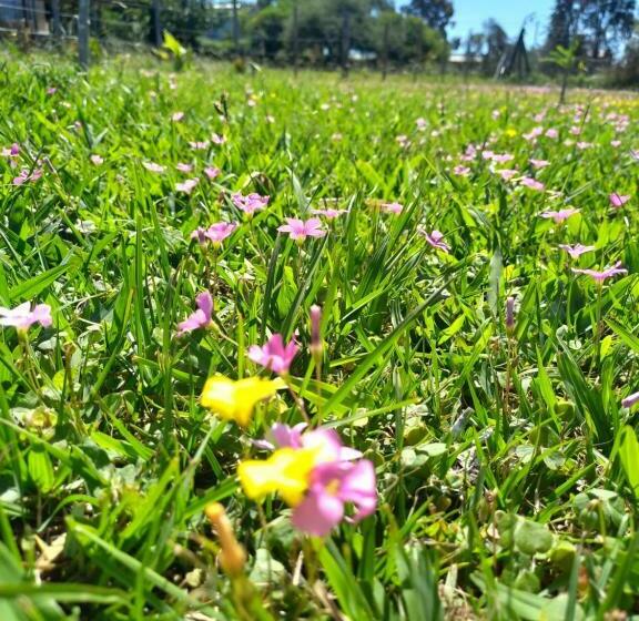 Complejo Aguas Termales