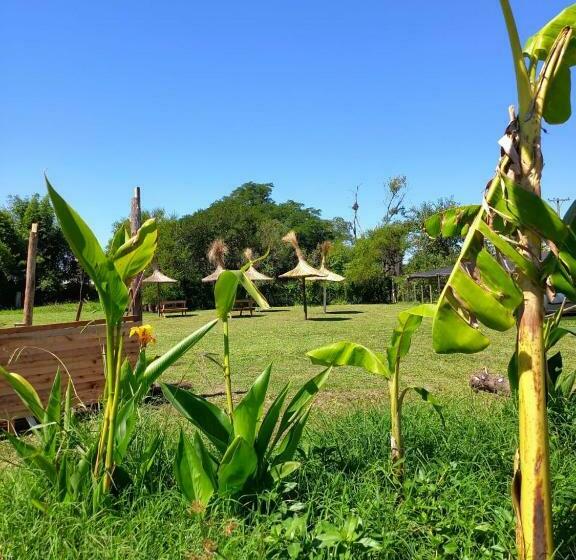 Complejo Aguas Termales