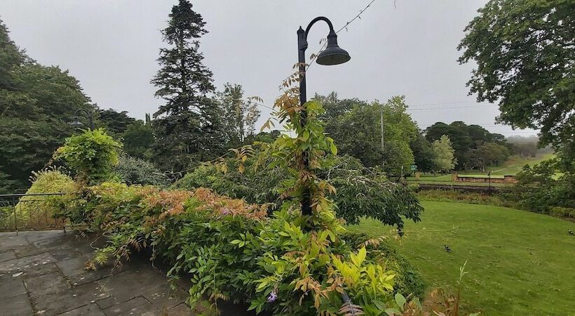 בית מלון כפרי Leura Gardens Resort