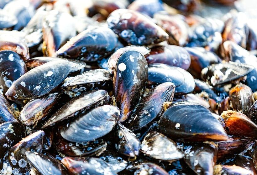 Mallacoota Hotel Motel